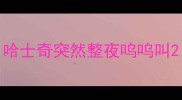 哈士奇突然整夜呜呜叫