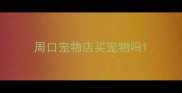 周口宠物店买宠物吗
