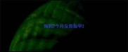 狗狗2个月没剪指甲
