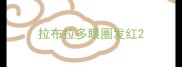 拉布拉多眼圈发红