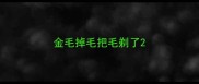 金毛掉毛把毛剃了