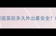 狗狗疫苗全攻略打完疫苗后多久外出最安全幼犬护理必知5大事项
