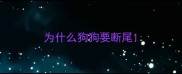 为什么狗狗要断尾