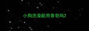 小狗洗澡能用香皂吗