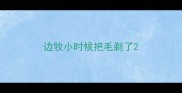 边牧小时候把毛剃了