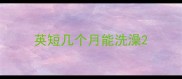 英短几个月能洗澡