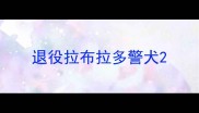 退役拉布拉多警犬