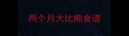 两个月大比熊食谱