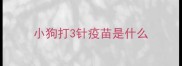 小狗打3针疫苗是什么