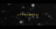 二个月的小猫吃什么