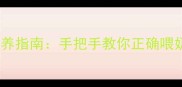新手猫妈必看科学喂养指南手把手教你正确喂奶瓶猫咪秒变干饭人