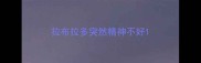 拉布拉多突然精神不好