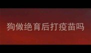 狗做绝育后打疫苗吗