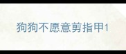狗狗不愿意剪指甲