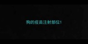 狗的疫苗注射部位