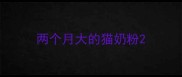 两个月大的猫奶粉