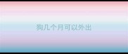 狗几个月可以外出