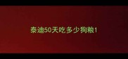 泰迪50天吃多少狗粮