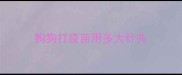 狗狗打疫苗用多大针头