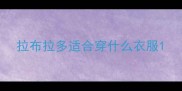 拉布拉多适合穿什么衣服