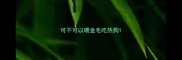 可不可以喂金毛吃热狗