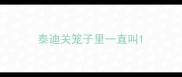 泰迪关笼子里一直叫