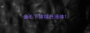 金毛下体绿色液体