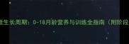 哈士奇犬最佳生长周期0-18月龄营养与训练全指南附阶段护理秘籍