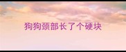 狗狗颈部长了个硬块