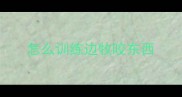 怎么训练边牧咬东西