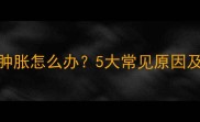 拉布拉多眼睑肿胀怎么办5大常见原因及专业治疗指南