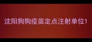 沈阳狗狗疫苗定点注射单位