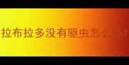 拉布拉多没有驱虫怎么办