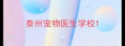 泰州宠物医生学校