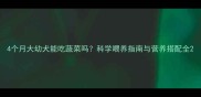 4个月大幼犬能吃蔬菜吗科学喂养指南与营养搭配全