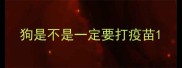 狗是不是一定要打疫苗