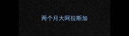 两个月大阿拉斯加