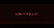 比熊4个月多少斤