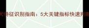 拉布拉多犬特征识别指南5大关键指标快速判断品种特性