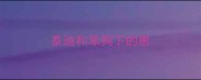 泰迪和笨狗下的崽