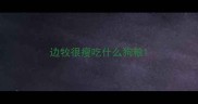 边牧很瘦吃什么狗粮