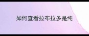如何查看拉布拉多是纯