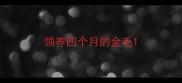 领养四个月的金毛