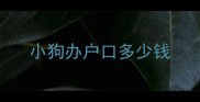 小狗办户口多少钱