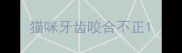猫咪牙齿咬合不正