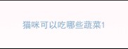 猫咪可以吃哪些蔬菜
