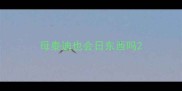 母泰迪也会日东西吗