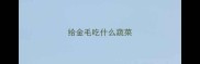 给金毛吃什么蔬菜