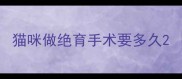 猫咪做绝育手术要多久