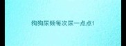 狗狗尿频每次尿一点点